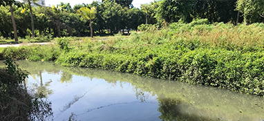 沿用城市思維？農村黑臭水體治理“行不通”！